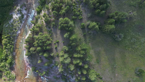 Top-Down-Aerial-Footage-of-Forest-River-at-Sunset
