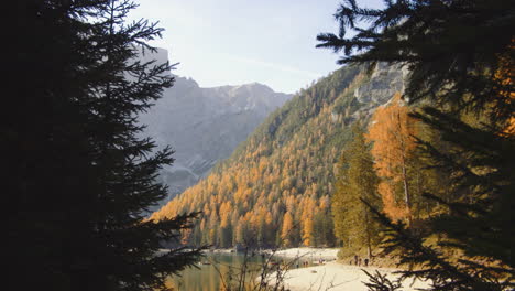 Toma-Hacia-Adelante-Desde-El-Bosque-Con-El-Lago-Braies-En-El-Fondo,-Italia