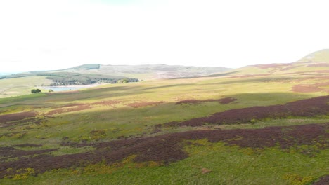 Highland-moors-and-meadows-of-Lomond-regional-park-in-Scotland,-drone