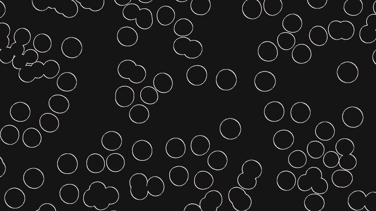 Una composizione monocromatica di cerchi disposti secondo un modello circolare con diversi gradi di sovrapposizione crea un'intrigante disposizione visiva, che sembra fluttuare all'interno dell'area di lavoro.