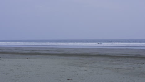 Panning-shot-revealing-dead-trees-lying-on-the-beach-at-Canas-Island