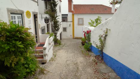 flowers and greenery grows in old ancient street in castle of óbidos