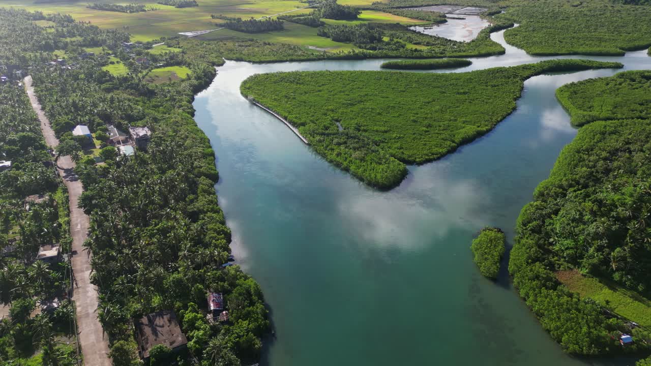 Picturesque aerial pullback of a wide mangrove river park along lush, coastal village community at Batalay, Bato, Catanduanes, Philippines