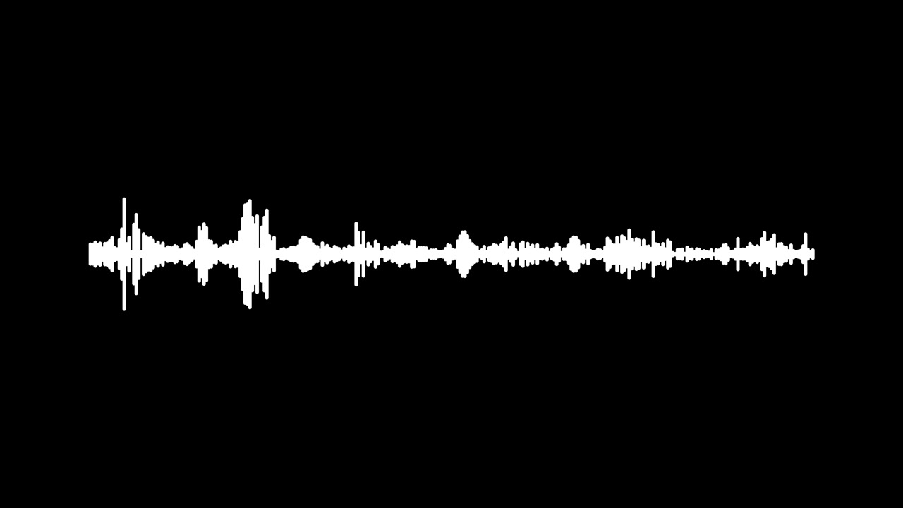 Visualizzazione dinamica di una forma d'onda audio bianca su sfondo nero.