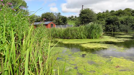 Casa-En-El-Río-De-Intercambio-Irlandés