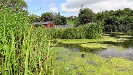 house on the irish swap river