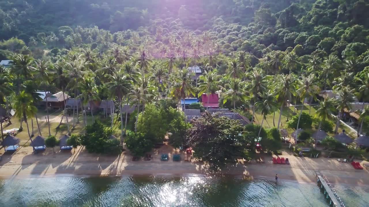 Tropical Beach with Palm Trees and Resort