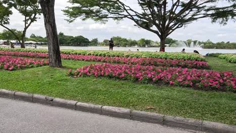 people walking by vibrant flower beds in park.