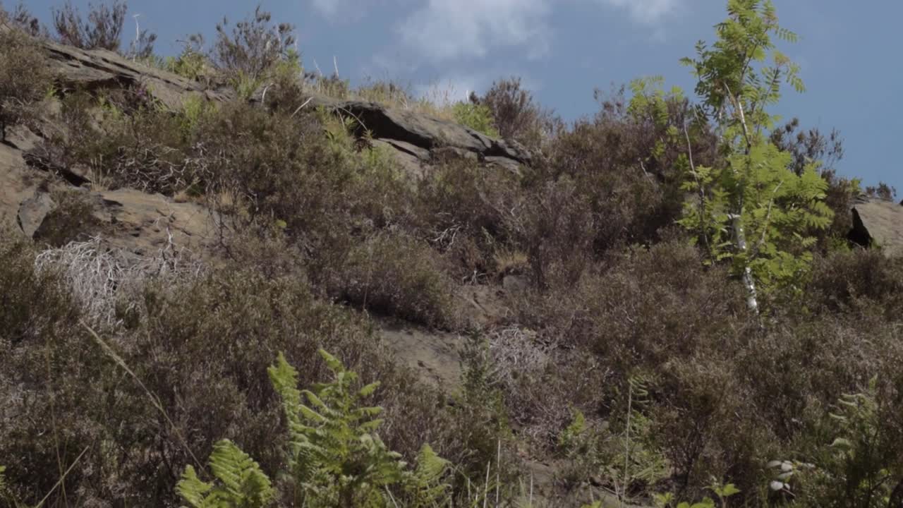Rocky terrain against blue sky medium panning shot
