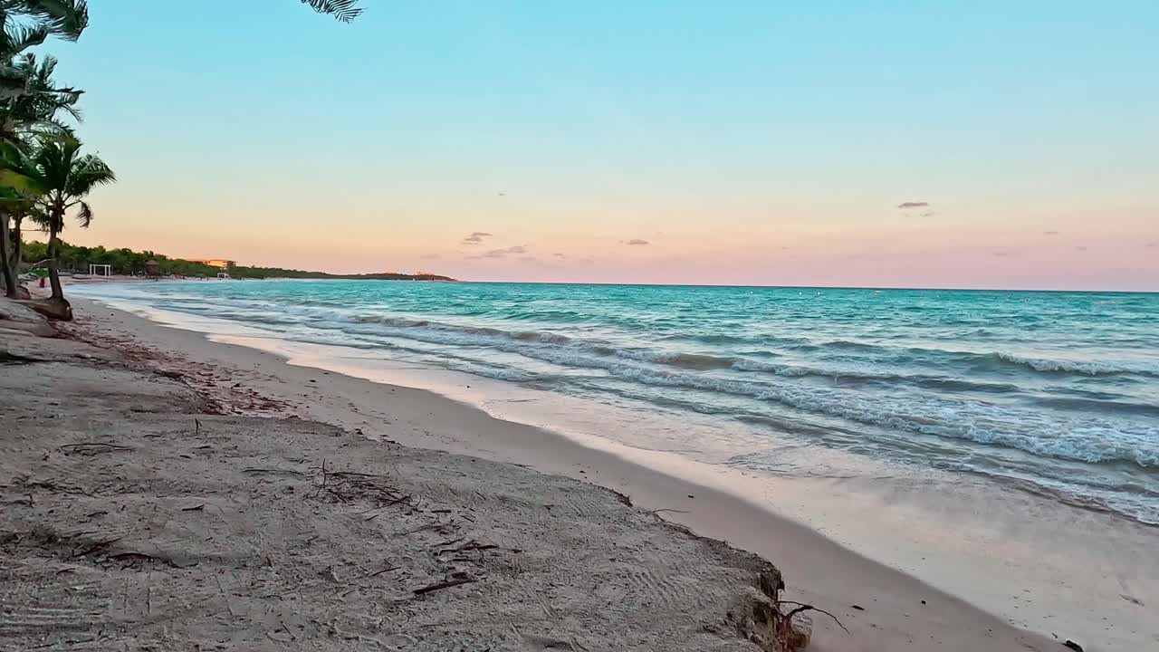 hiperlapso al anochecer en tulum méxico en el mar caribeño con palmeras balanceándose en la brisa y el lapso de tiempo de las olas rompiendo en la orilla