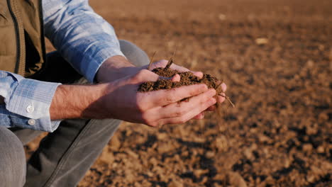 agricultor inspeccionando el suelo