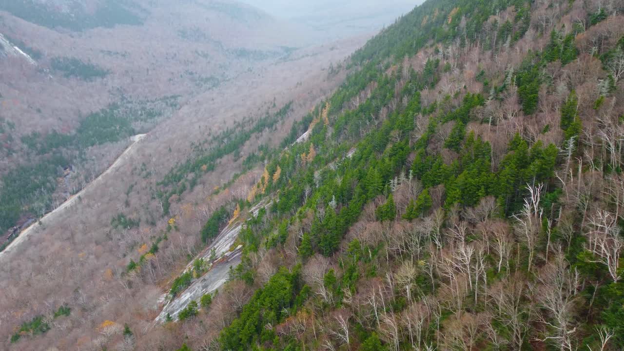Birdseye view of Mount Washington side covered by forest stripped of leaves at the beginning of winter