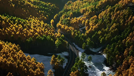 aerial view of a winding road through an autumn forest