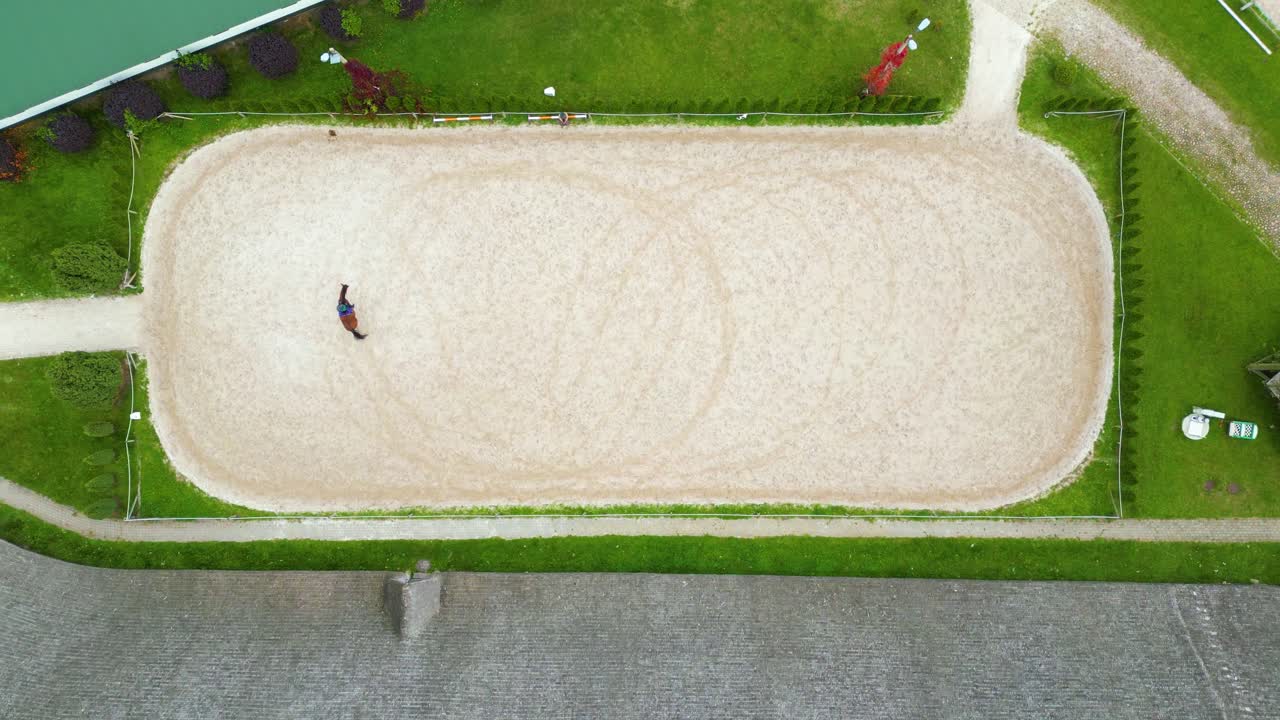 안정 근처 목장에서 걷고 방목하는 말