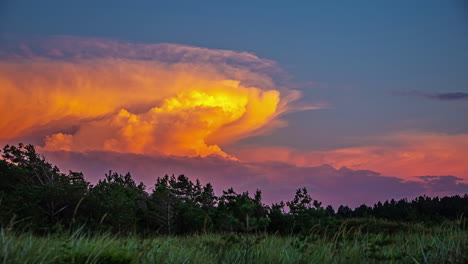 la nube cumulonimbus ondea y cambia de color al atardecer sobre los árboles del bosque - lapso de tiempo