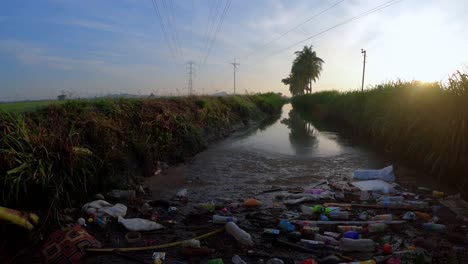 panning shot of rubbish accumulate at river.