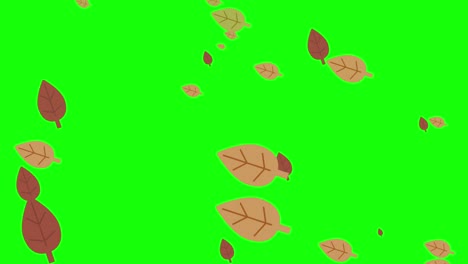 simple and cute leaf particle fallen leaves green background