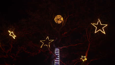 ladder on tree with yellow stars and moon