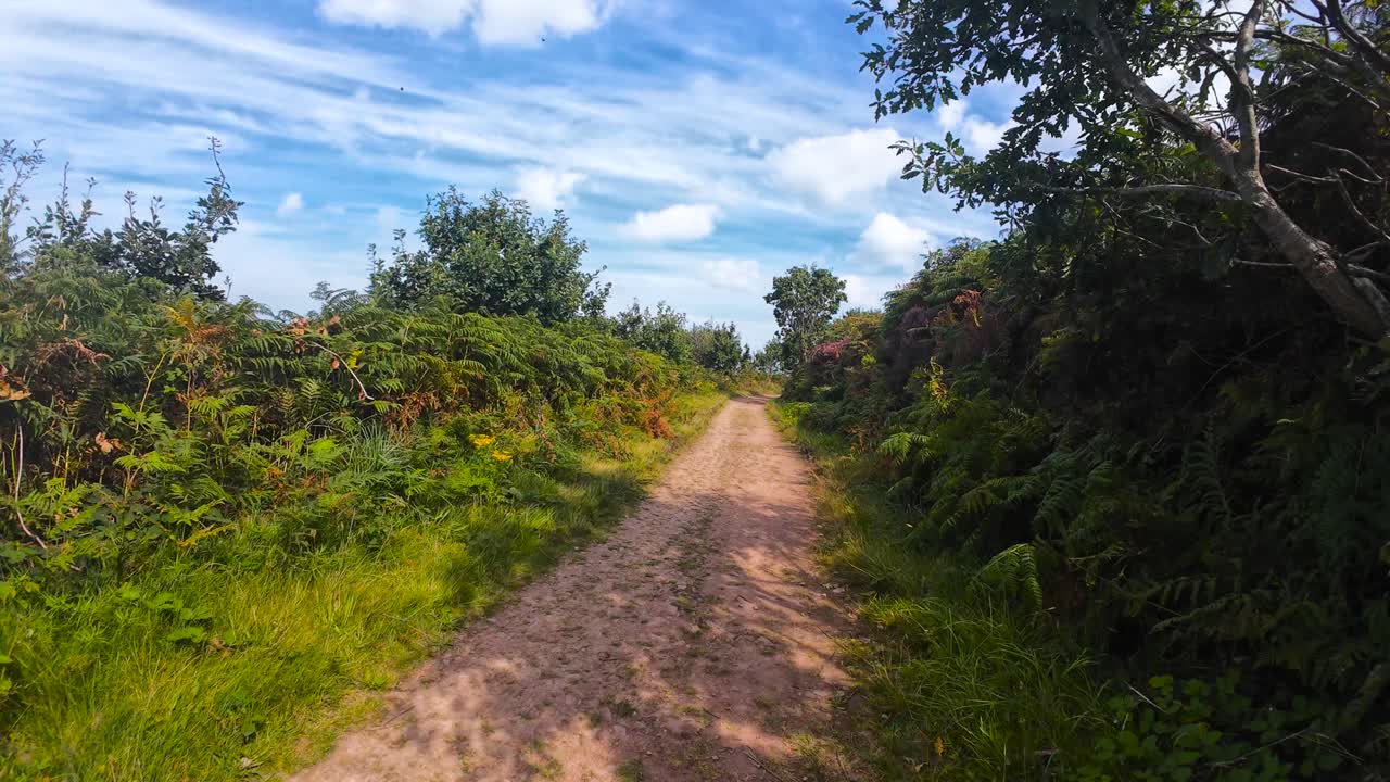 POV Cycling Along Bridleway Dirt Track in British Countryside with Various Bright Colours from Green Ferns and Colorful Dynamic Blue Cloud Sky