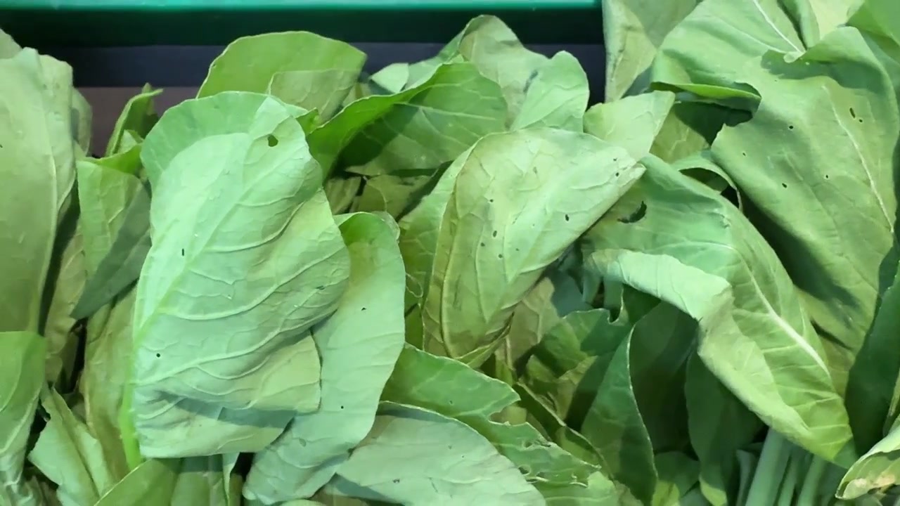 Fresh Green Chinese Broccoli Leaves in a Grocery Store Display