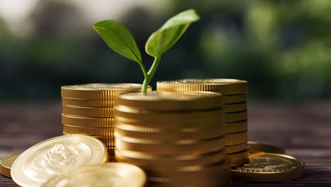 plant growing from stack of gold coins representing financial growth and investment