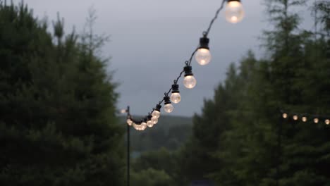 garland of light bulbs hangs in yard. it is raining, water drops on light bulbs.