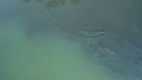 laguna caren, región metropolitana de chile