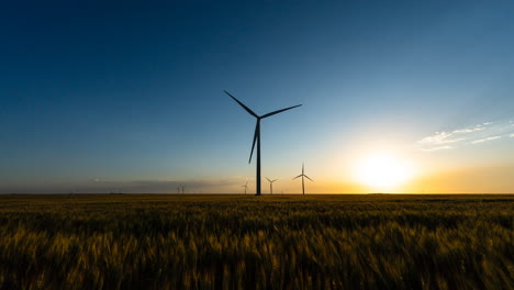 wind farm with setting sun over peaceful wheat fields