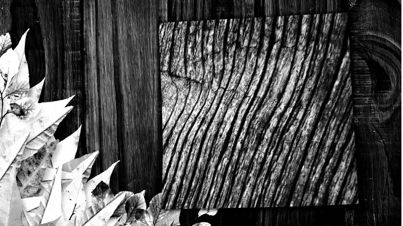 Animazione di foglie di piante e motivo a venature del legno mutevoli, in bianco e nero