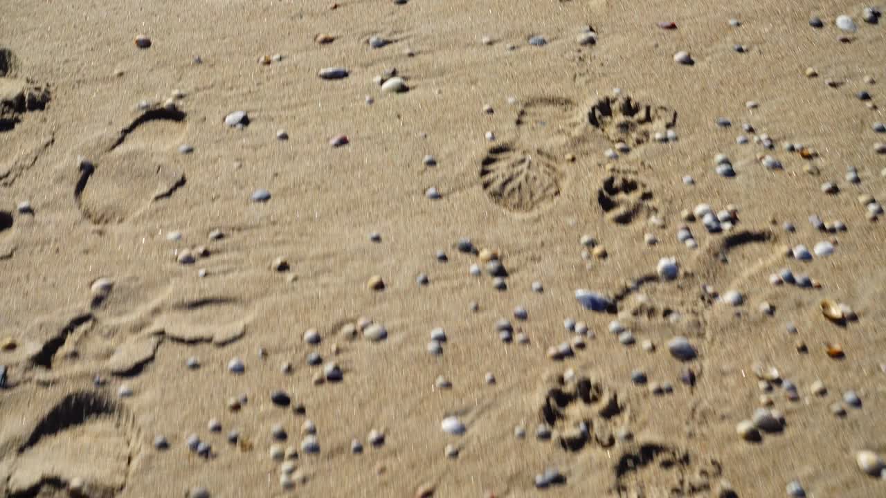 Tracce sulla sabbia. Riprese in movimento