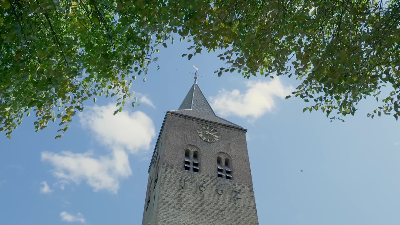 Church Tower with Clock and Tree Canopy