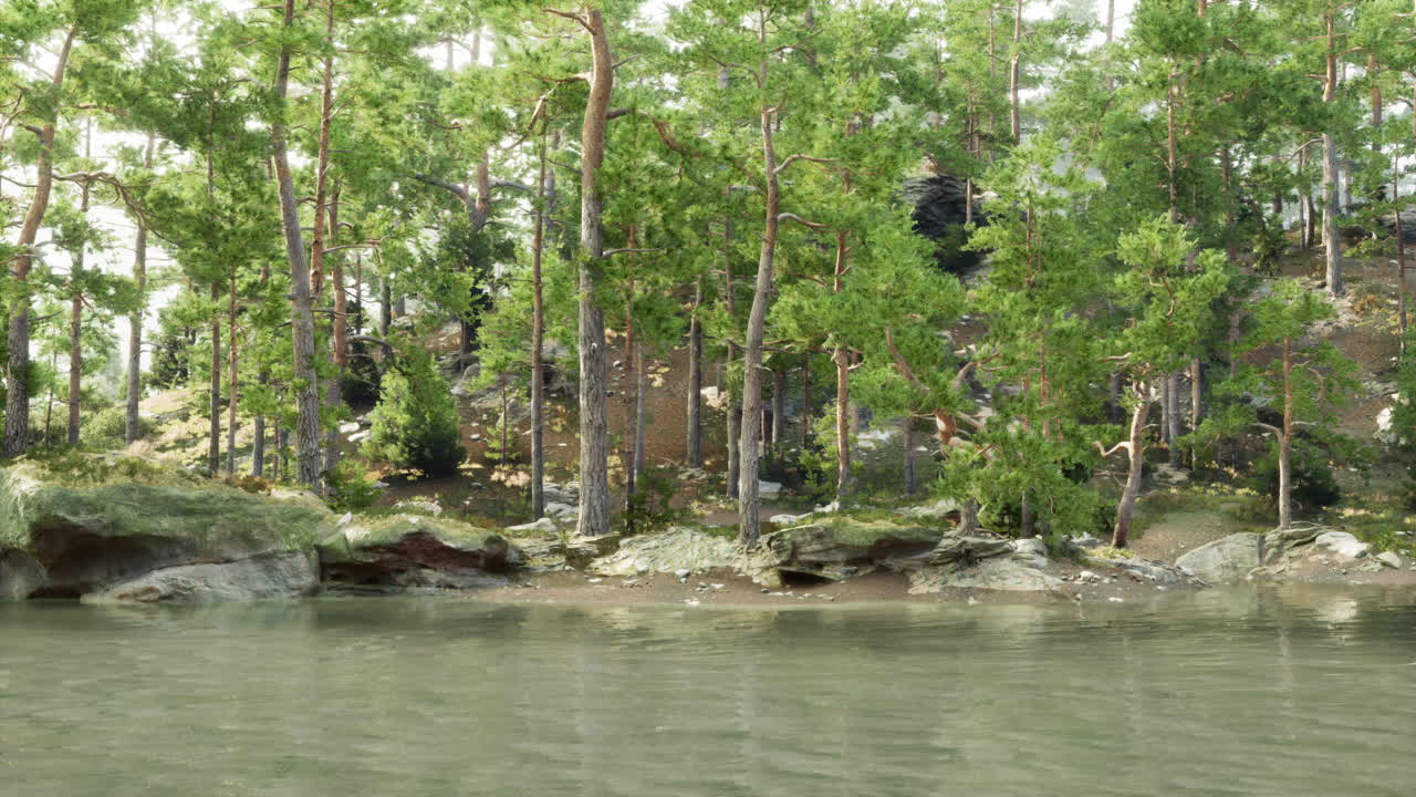 아름다운 숲 호수