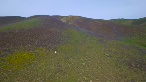 Una-Mujer-Camina-A-Través-De-Vastos-Campos-De-Flores-Silvestres-En-Una-Ladera-De-California-1