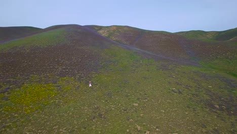 una mujer camina a través de vastos campos de flores silvestres en una ladera de california 1