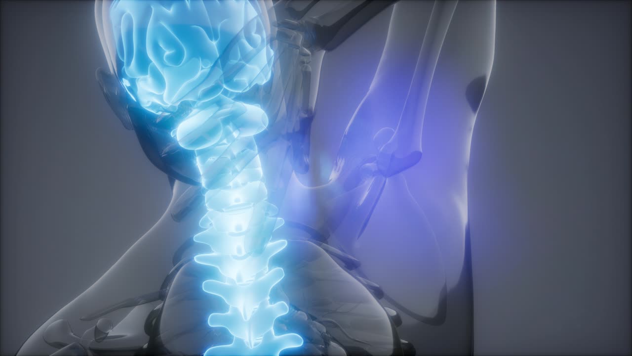 허리  ⁇ 에 허리 통증