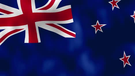 new zealand concept
