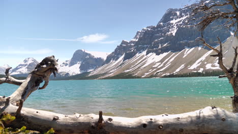 cinematic reveal of majestic lake in alberta, canada