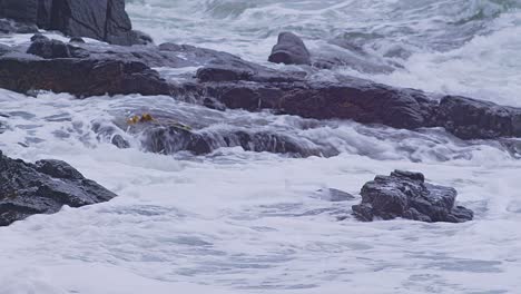 waves crashing on rocky shore