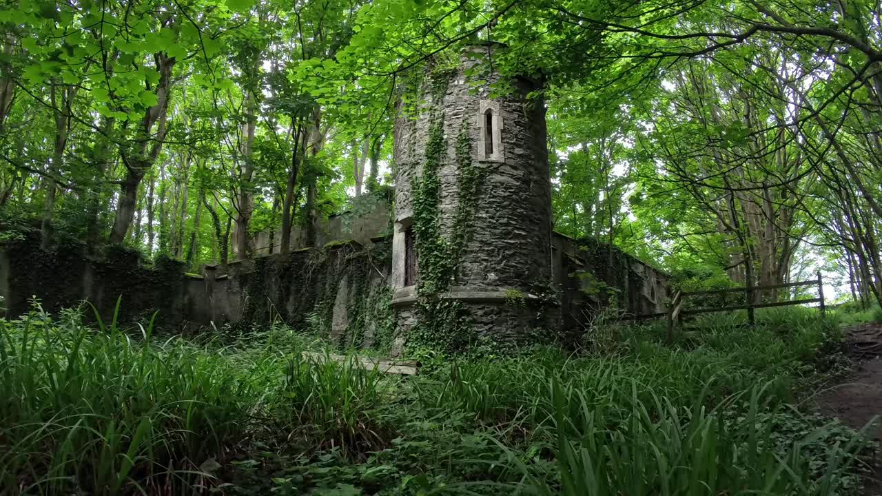 Enchanting stone castle ruins surrounded by wild garlic woodland forest lush dense foliage
