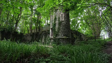 enchanting stone castle ruins surrounded by wild garlic woodland forest lush dense foliage