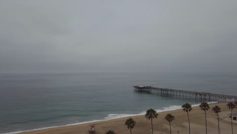 Fila-De-Palmeras-De-Paso-Elevado-Hacia-La-Escena-Del-Título-Del-Muelle