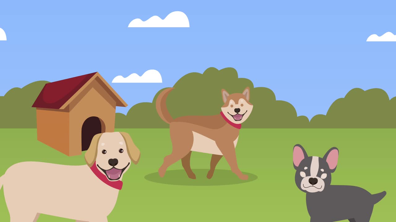 dogs mascots in the field animation