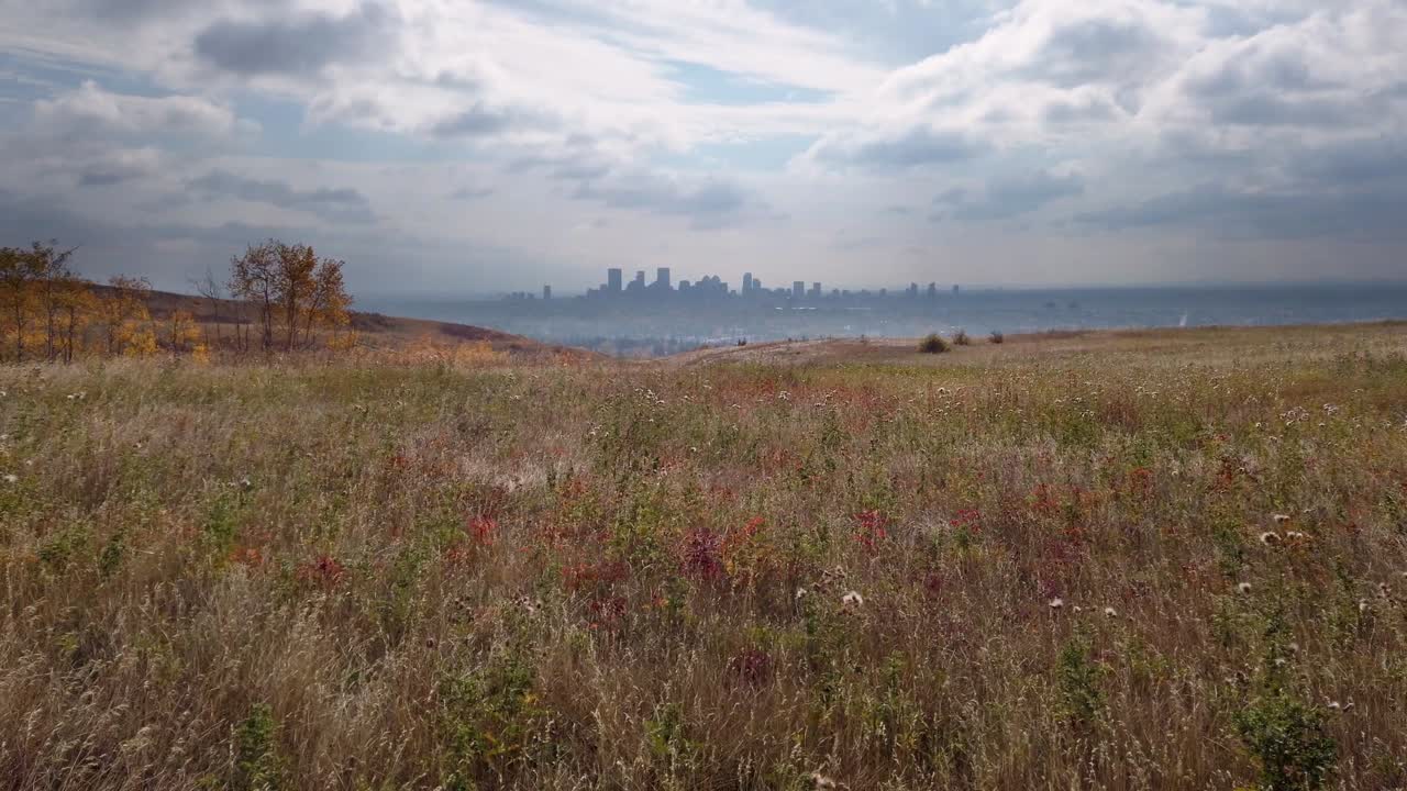 el horizonte de la ciudad desde los rascacielos de la pradera hierba amarilla calgary alberta canadá