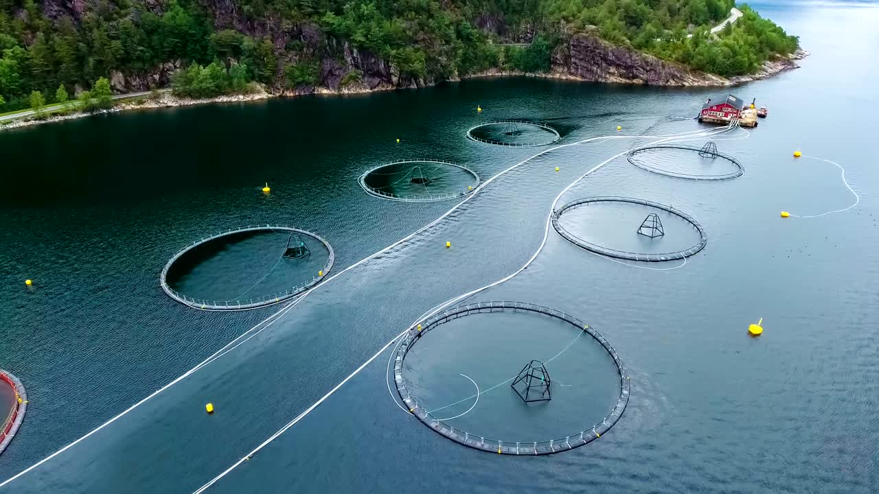 노르웨이에서 연어  ⁇ 시를 하는 공중 촬영