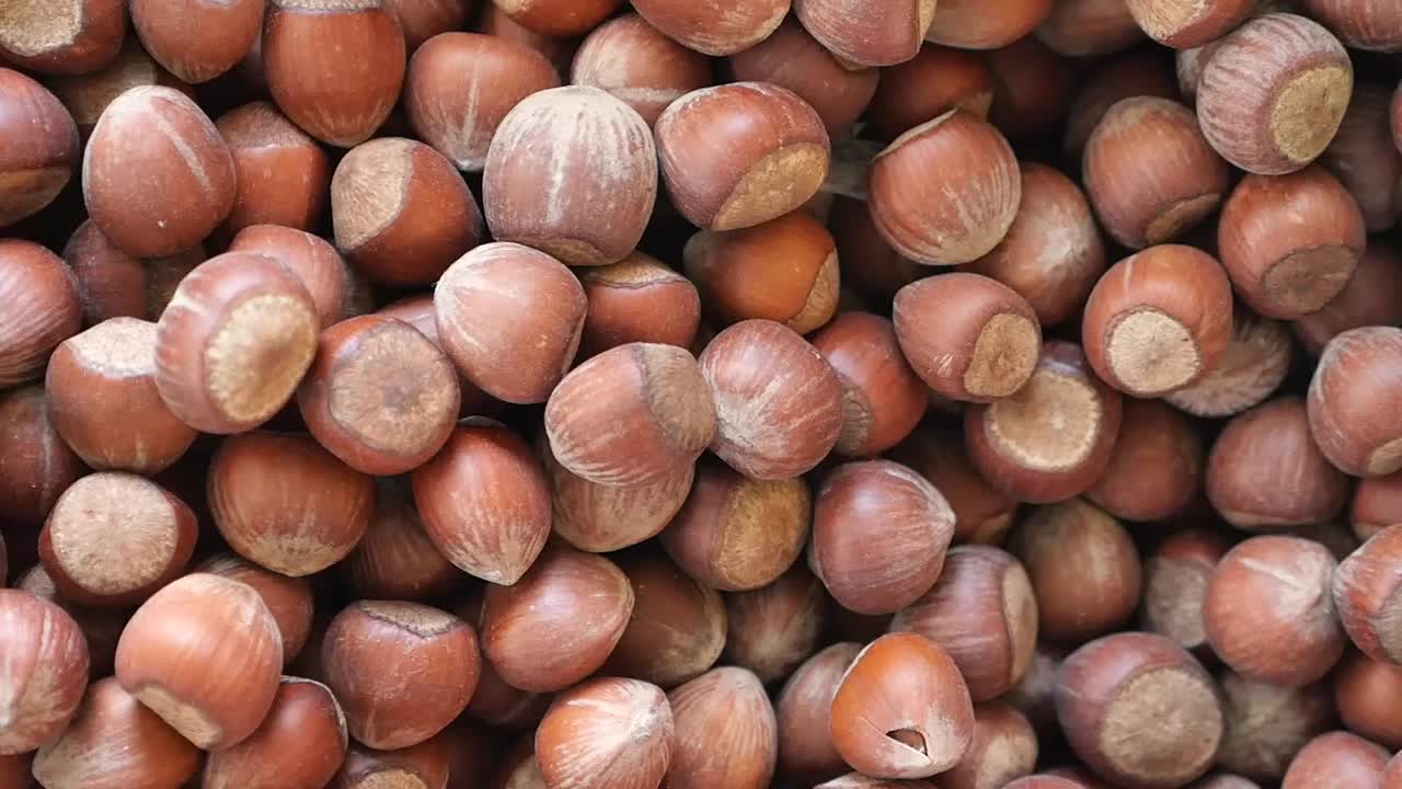 Noci di nocciola