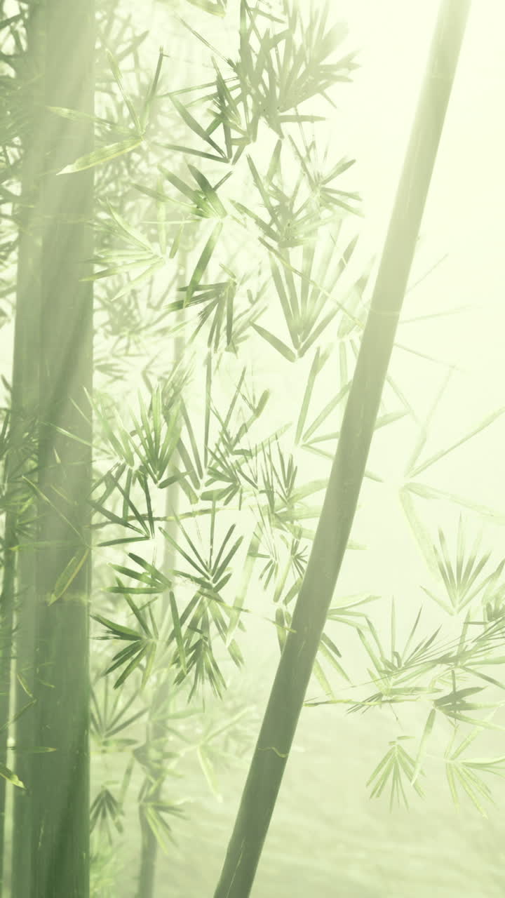 Ethereal bamboo forest basking in soft morning light with misty atmosphere