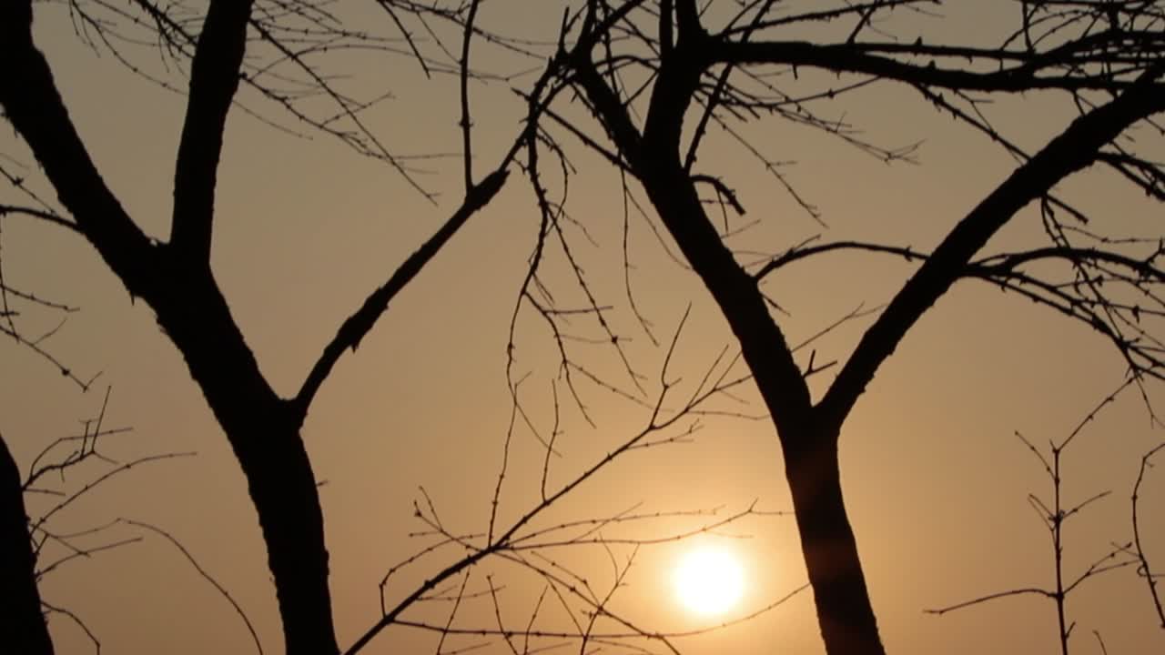 bisle ghat ka india의 아름다운 일출