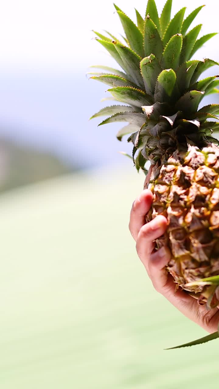 태국 푸켓에서 활기차고 빛이 비치는 배경에 손이 파인애플을 보여줍니다. 밝은 색과 자연 조명은 열대 분위기를 향상시니다.