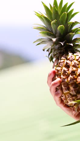 una mano presenta una piña contra un telón de fondo vibrante y soleado en phuket, tailandia. los colores brillantes y la iluminación natural mejoran la atmósfera tropical