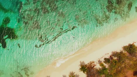 Toma-Aérea-épica-De-Un-Modelo-Flotando-En-El-Agua-Increíblemente-Clara-De-Petit-St-Vincent-En-El-Caribe